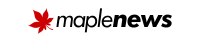 maplenes logo